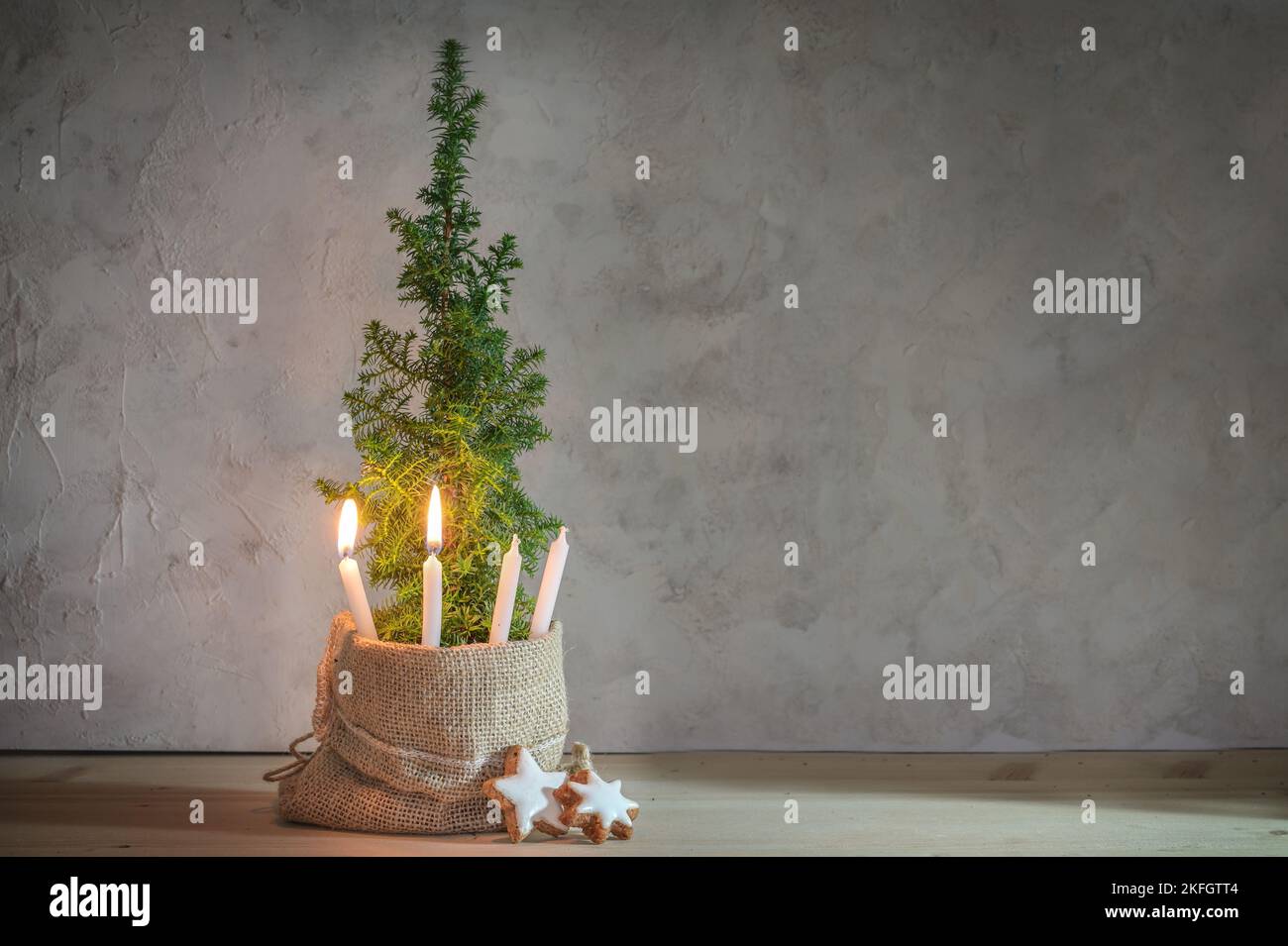 Alternative Advent wreath, two candles lit with a flame on a small conifer plant as Christmas tree symbol, large copy space Stock Photo