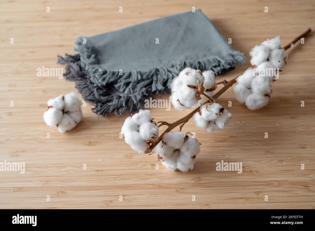 Fabrics made from sustainably and fairly grown cotton, two cloths and a twig on a wooden table, copy space, selected focus, narrow depth of field Stock Photo