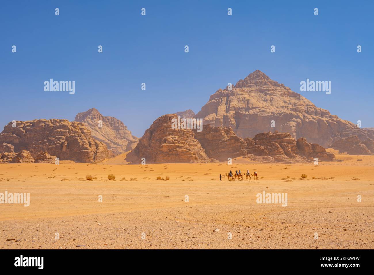 Camels in the Mountains of Wadi Rum Jordan Stock Photo