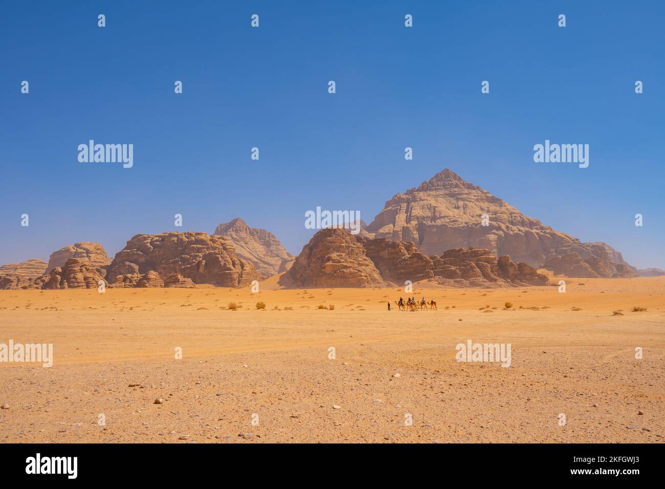 Camels in the Mountains of Wadi Rum Jordan Stock Photo