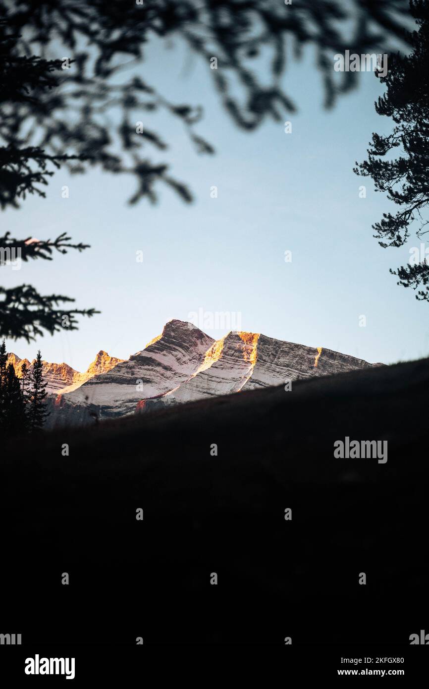 A picturesque view of Mount Rundle peaks through tree branches Stock ...