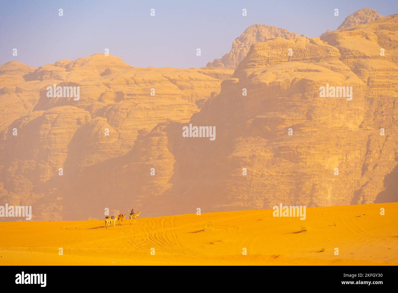 Camels in the Mountains of Wadi Rum Jordan Stock Photo