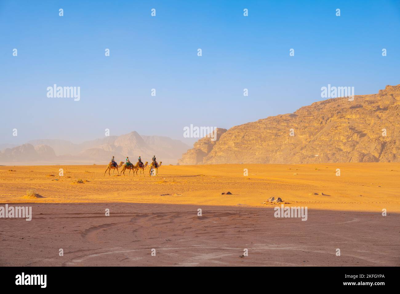 Camels in the Mountains of Wadi Rum Jordan Stock Photo