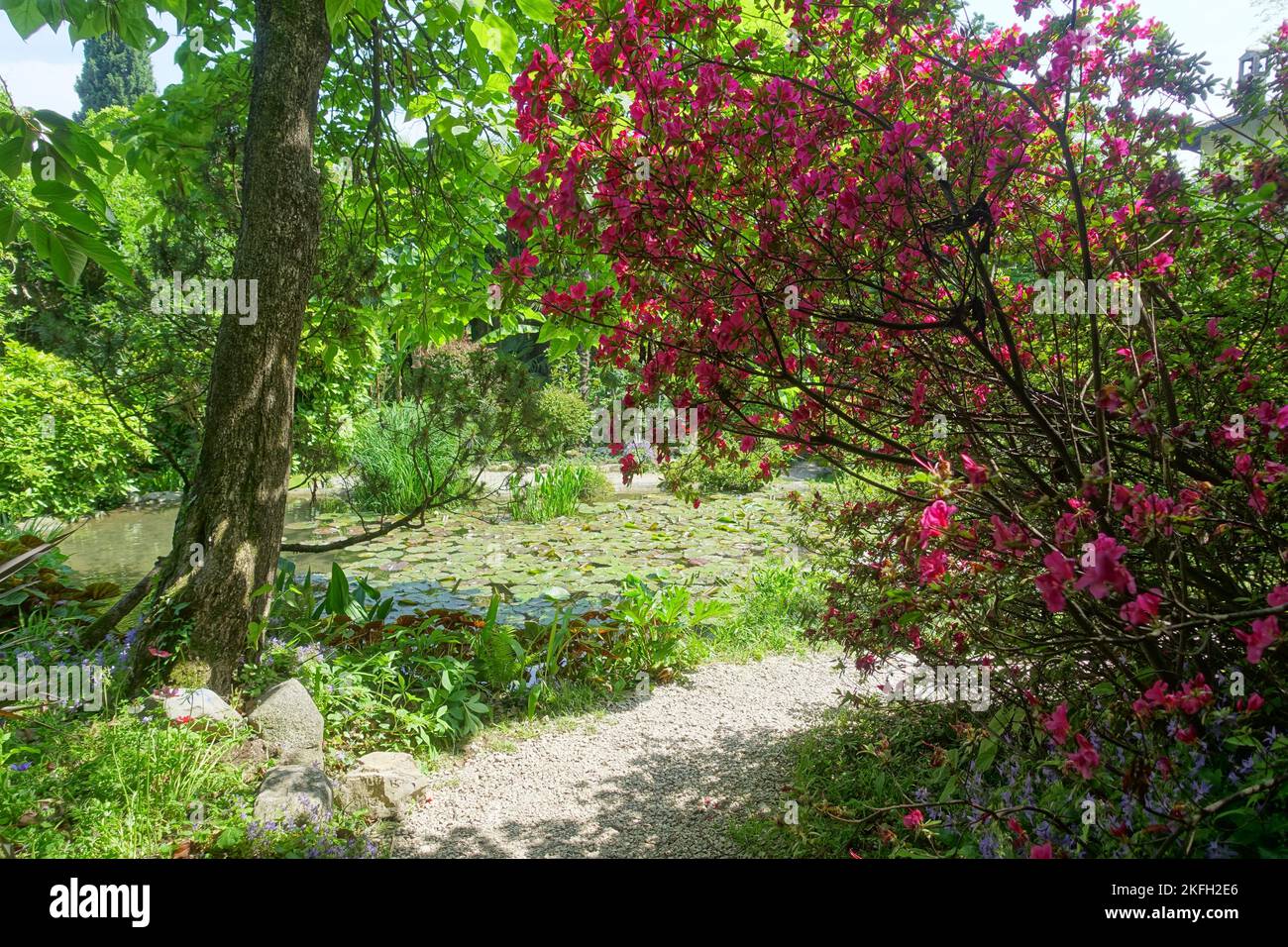 Gardasee, Botanischer Garten Gardone Riviera von Andre Heller // Lago