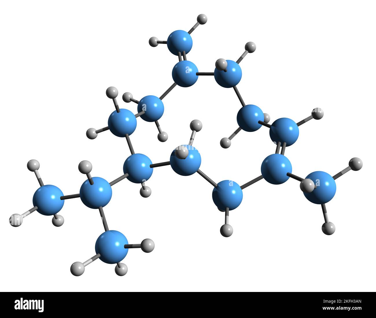 3D image of Germacrene skeletal formula - molecular chemical structure of sesquiterpene isolated on white background Stock Photo
