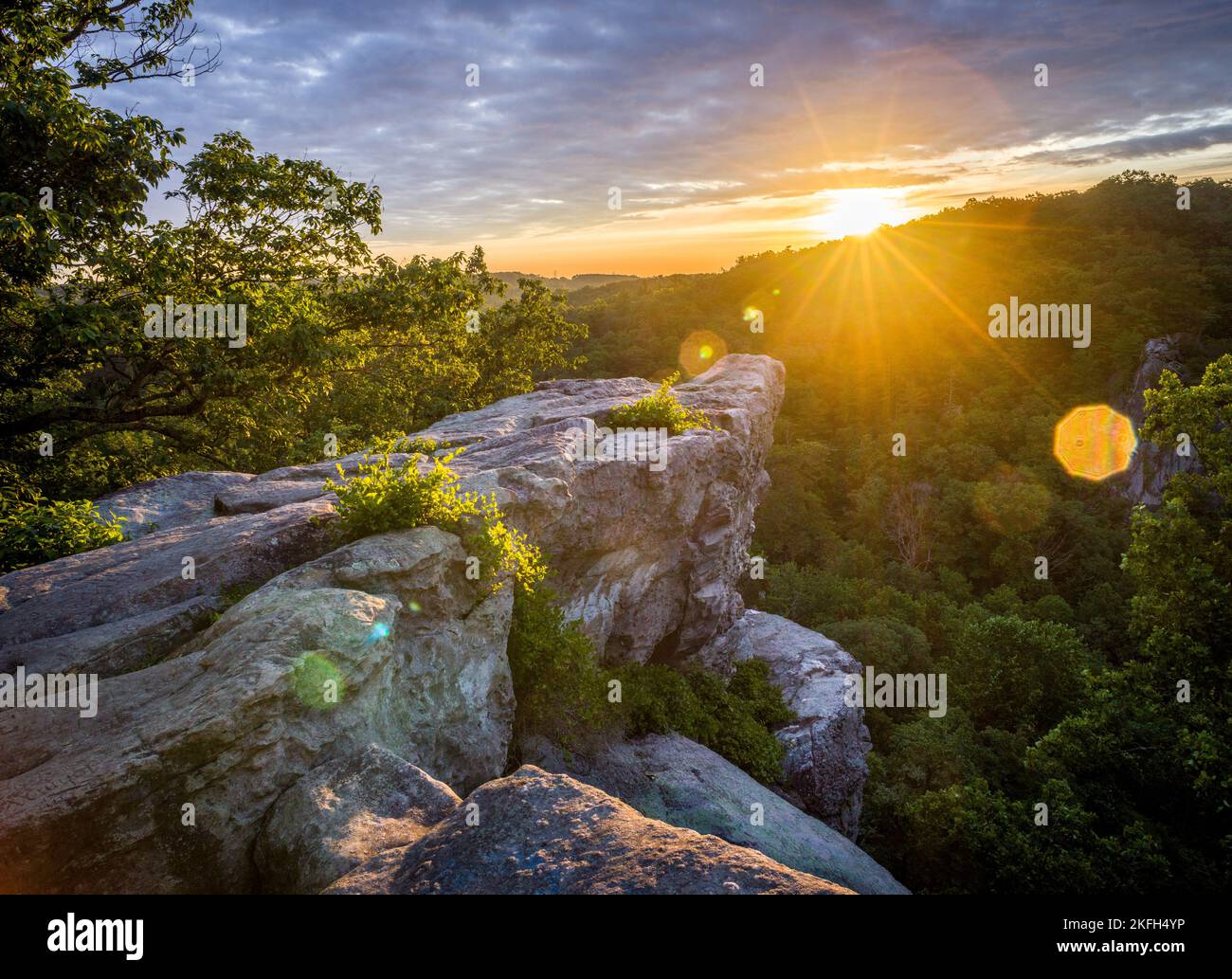 Queen seat hires stock photography and images Alamy
