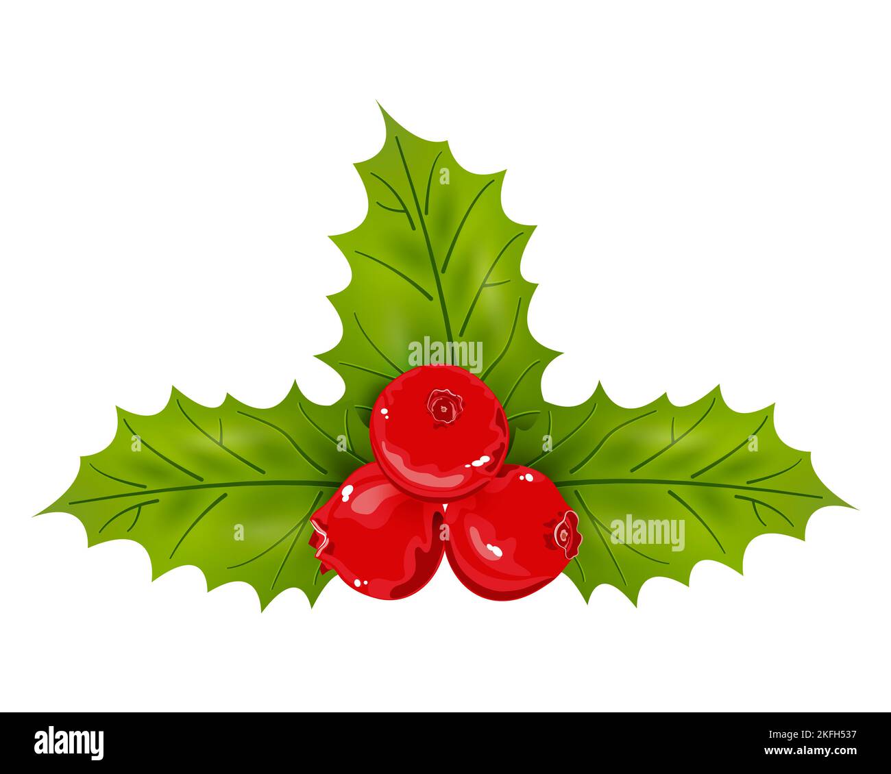 Christmas Holly Berry Leaves Vector Illustration Stock Vector