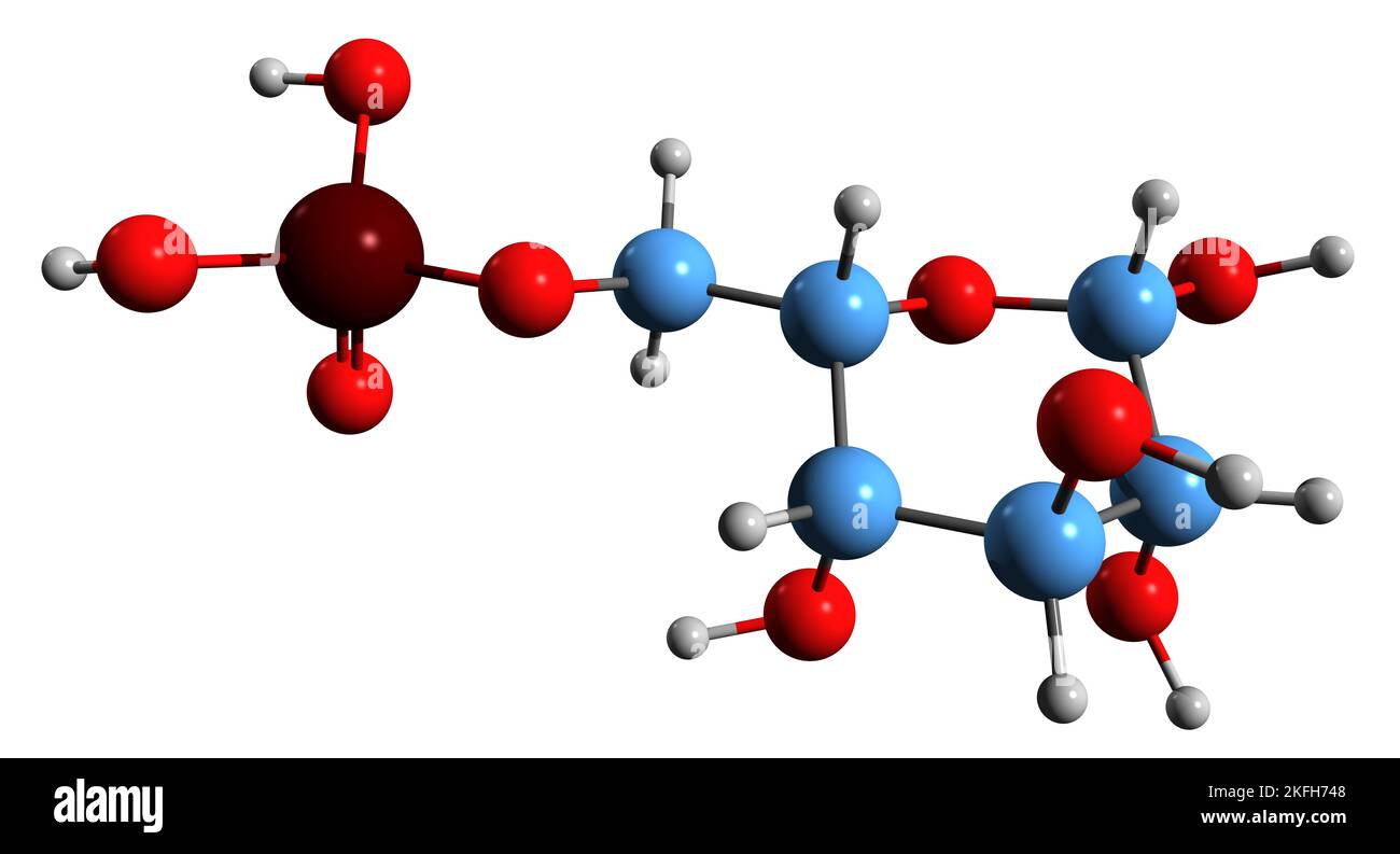 3D image of Glucose 6phosphate skeletal formula molecular chemical