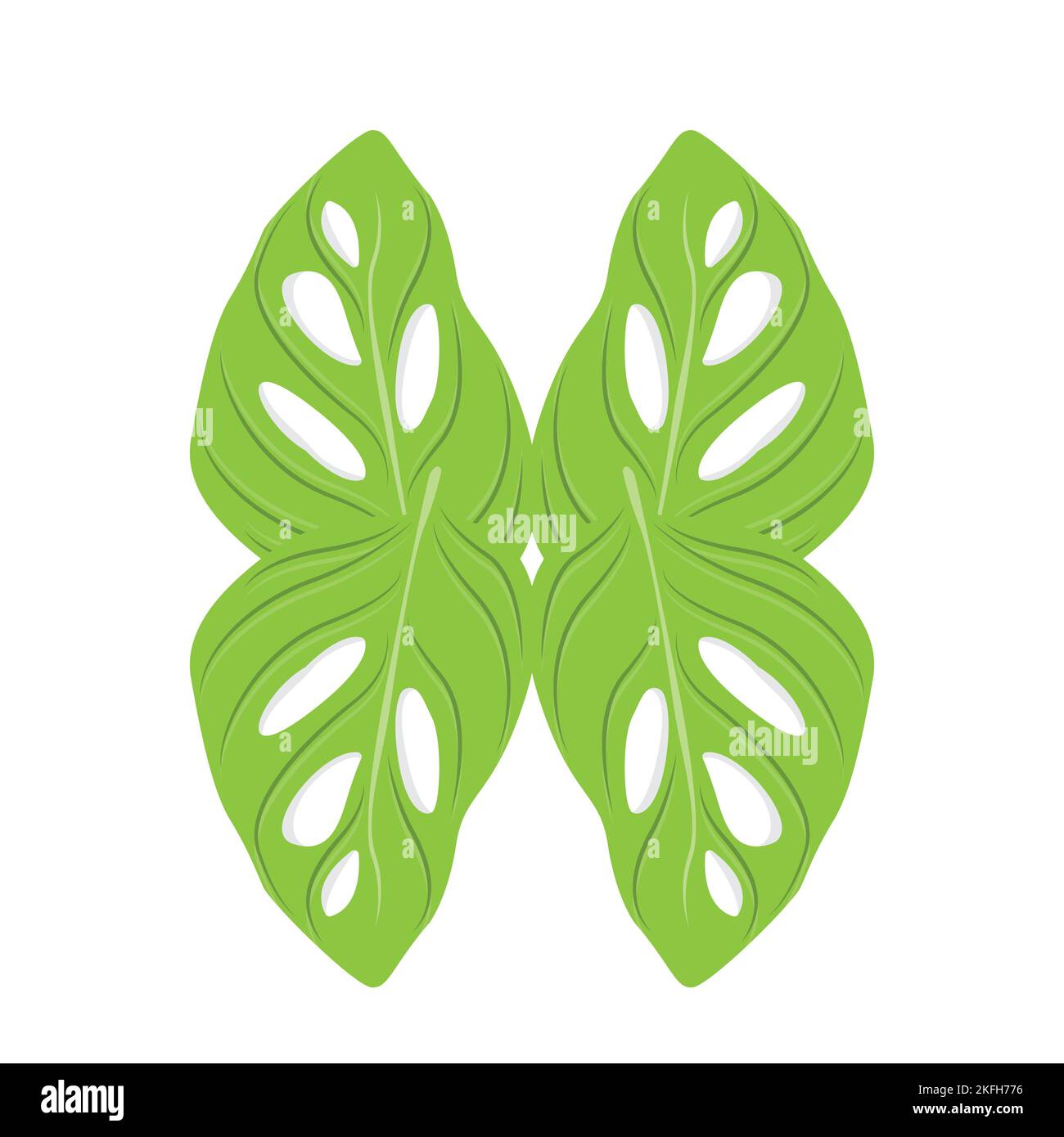 Monstera adansonii Leaf Logo, Green Plant Vector, Tree Vector, Rare Leaf Illustration Stock Vector