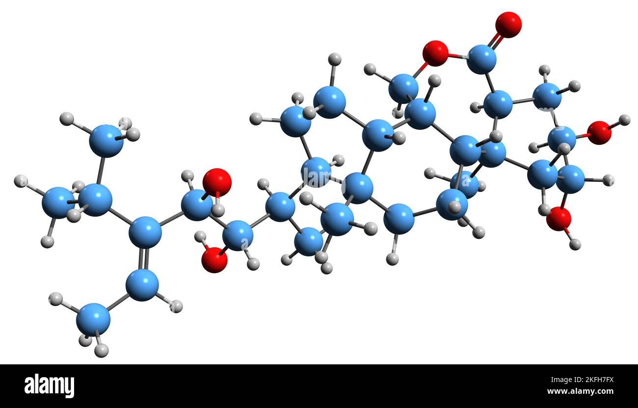 3D image of Homodolichosterone skeletal formula - molecular chemical structure of 28-Methyldolichosterone isolated on white background Stock Photo