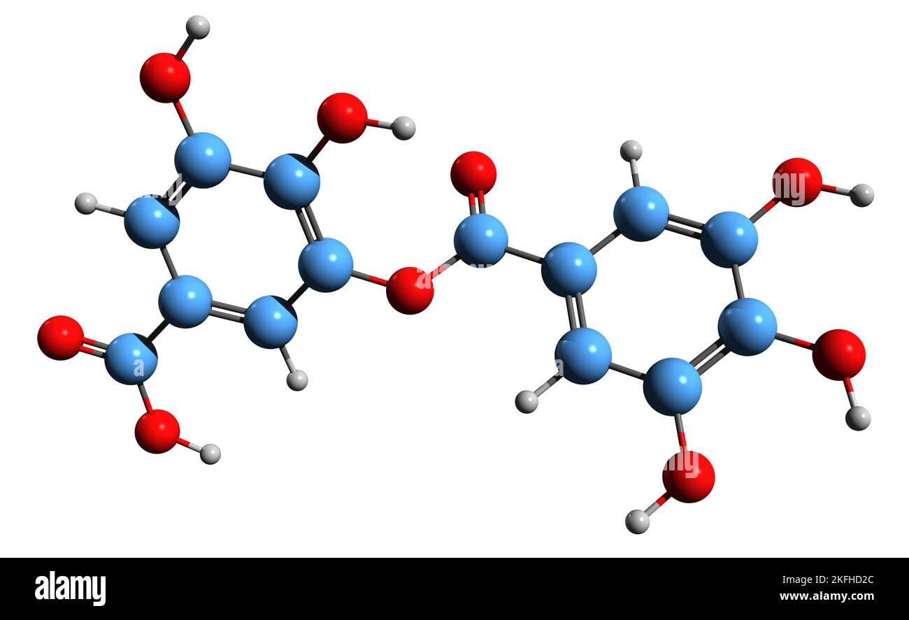 3D image of Digallic acid skeletal formula - molecular chemical structure of polyphenolic compound isolated on white background Stock Photo