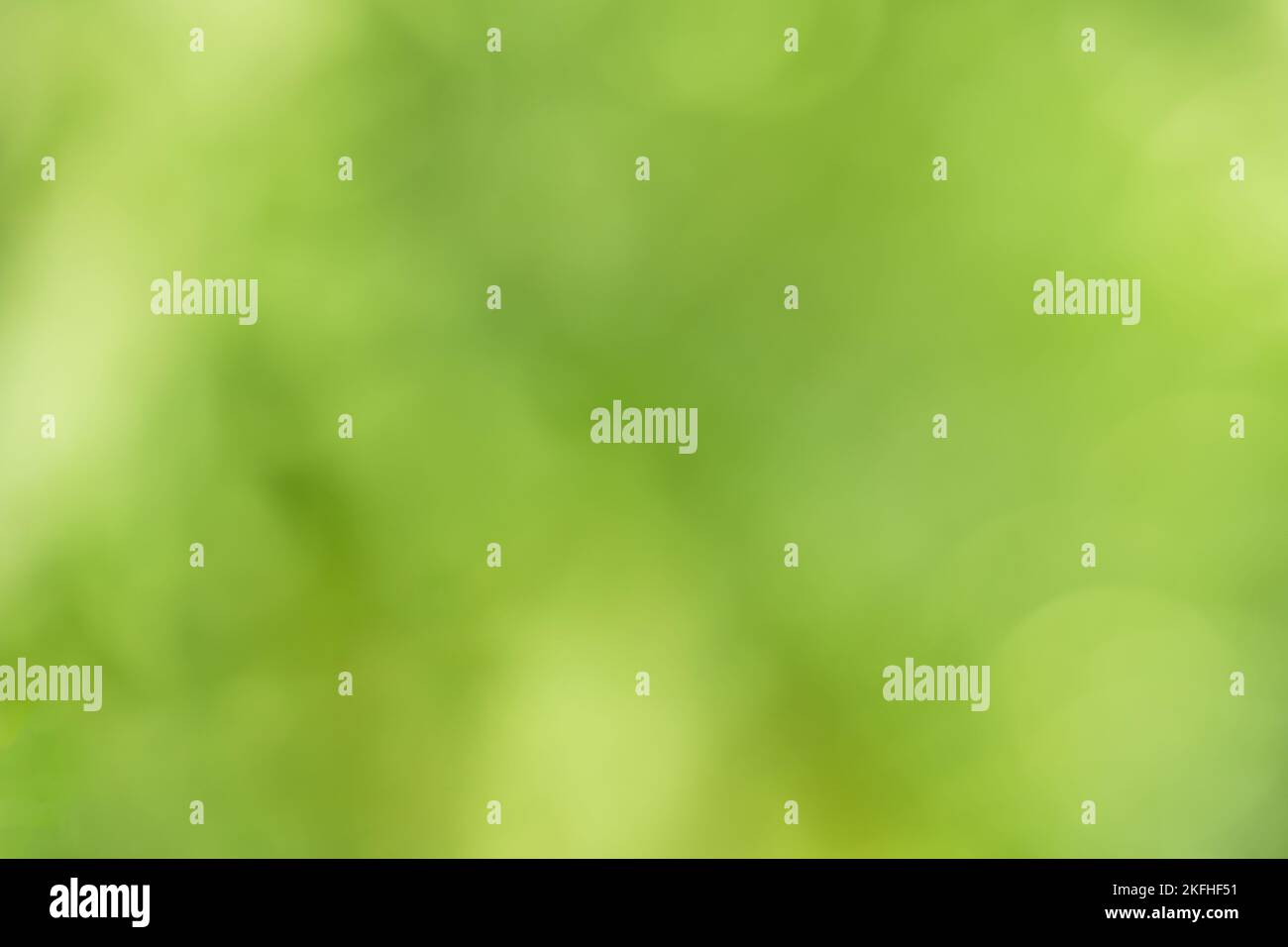 Green foliage blur background hi-res stock photography and images - Alamy
