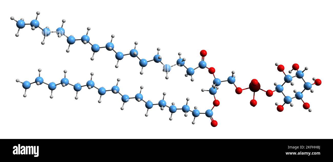 3D image of Dipalmitoyl phosphatidylinositol skeletal formula - molecular chemical structure of  metabolite isolated on white background Stock Photo