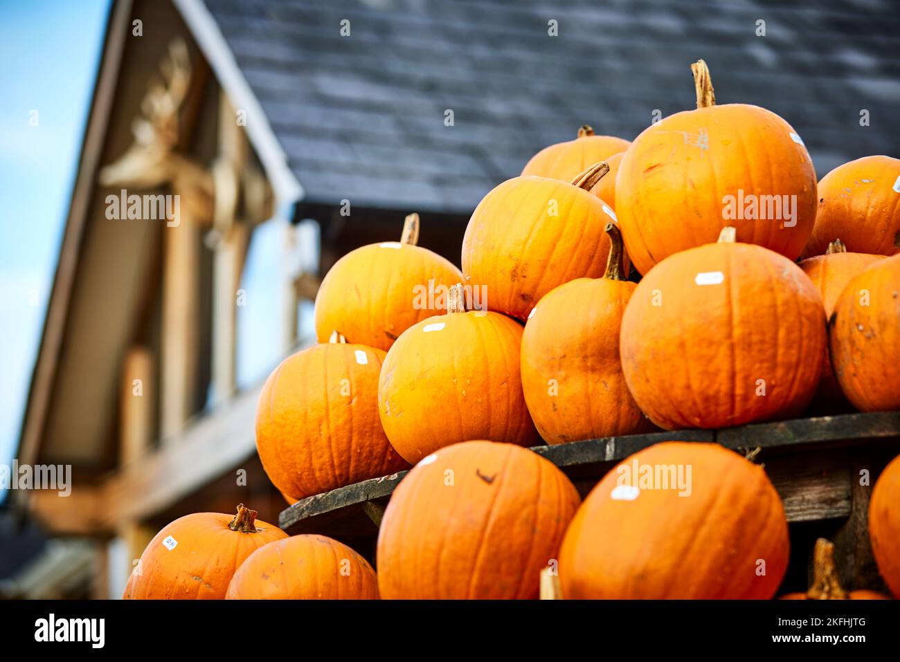 Crewe hall farm hires stock photography and images Alamy