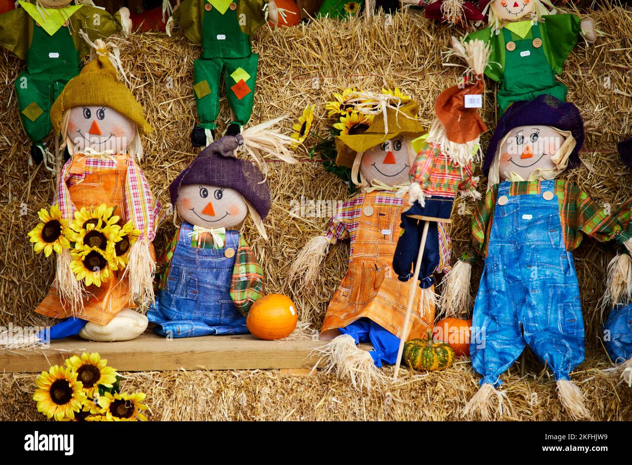PUMPKINS and scarecrows at  Wheelock Hall Farm Shop near Crewe Cheshire Stock Photo