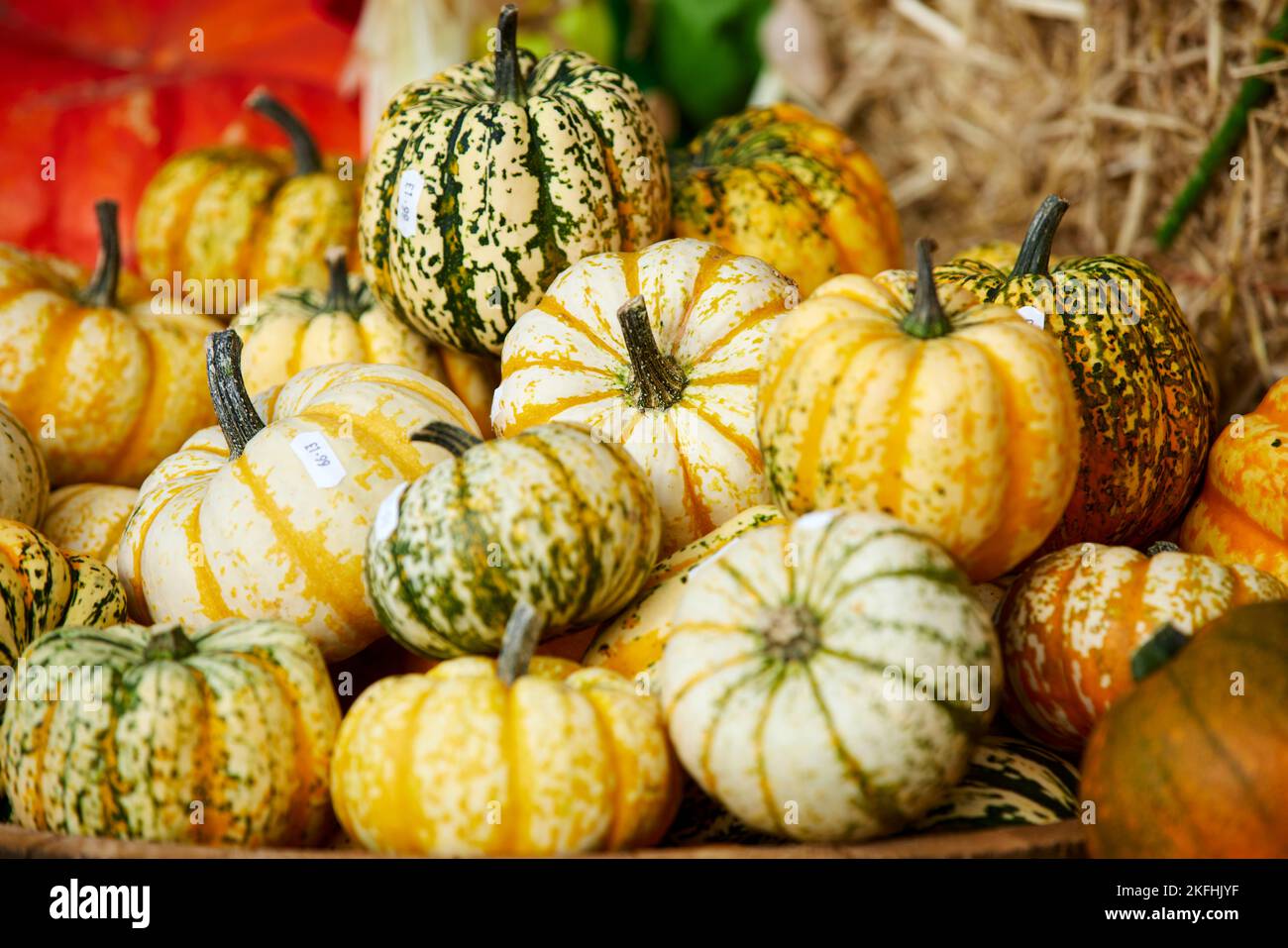 Crewe hall farm hires stock photography and images Alamy