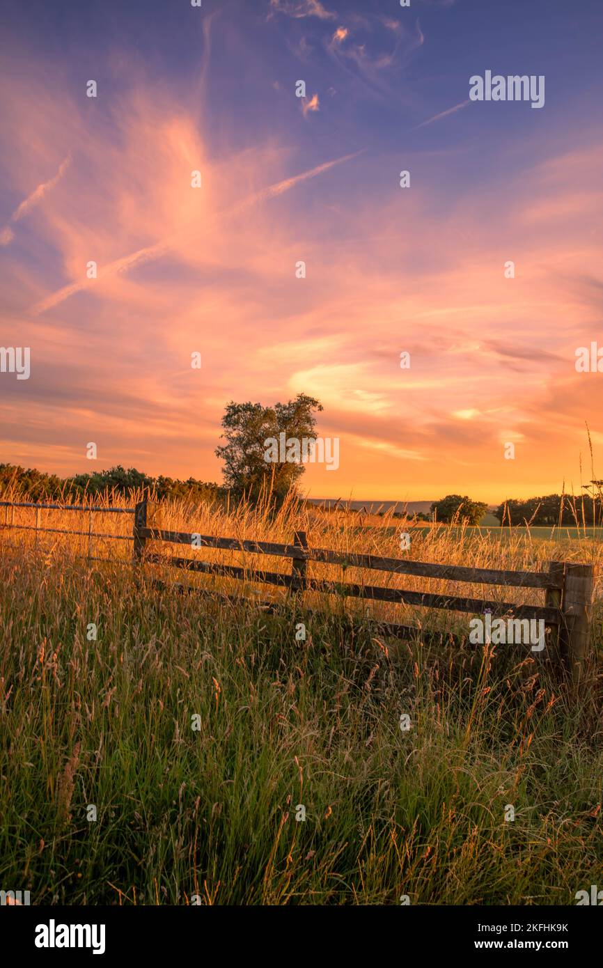 The beautiful sunset in a rural field Stock Photo - Alamy