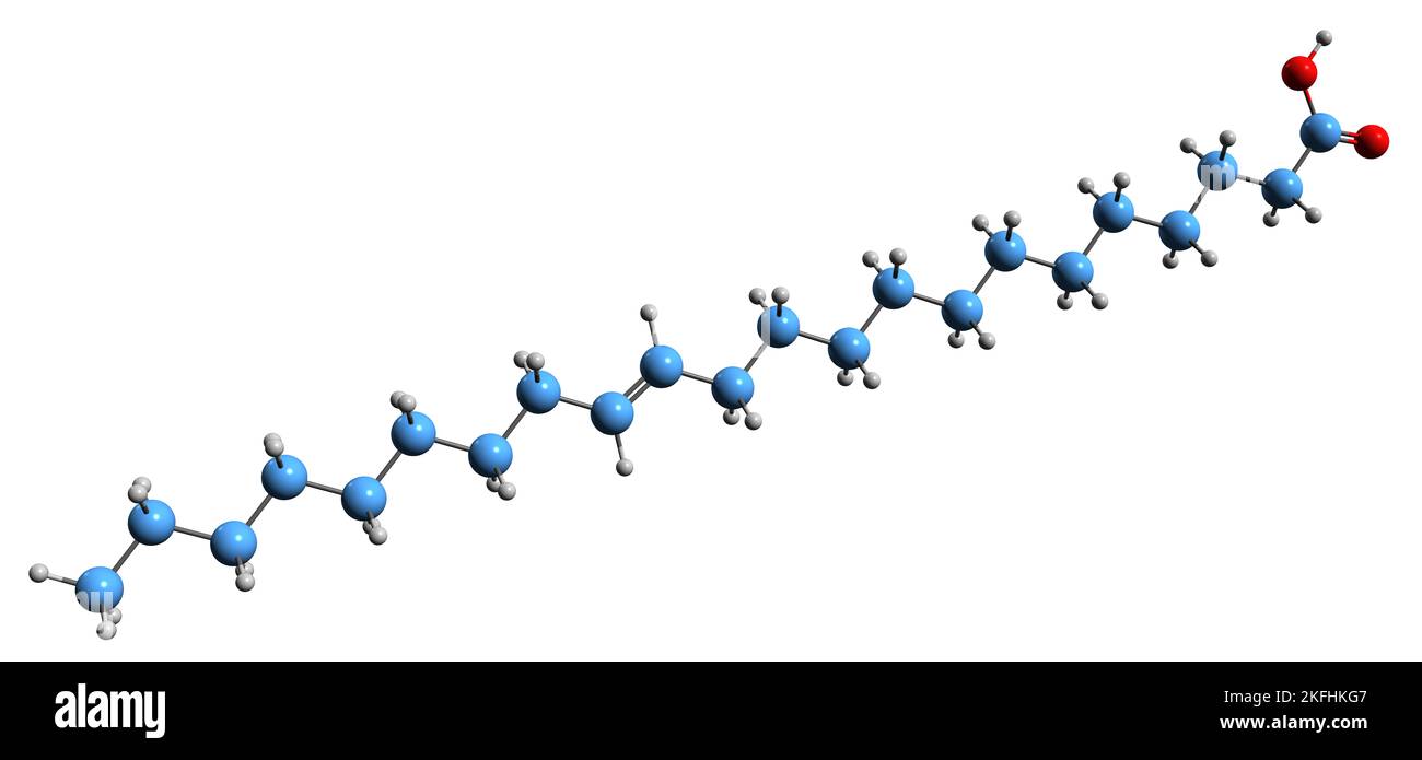 3D image of Erucic acid skeletal formula molecular chemical structure of monounsaturated omega
