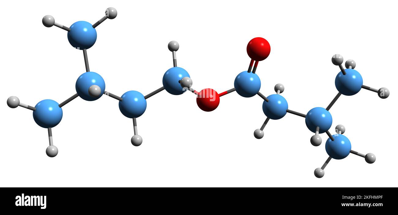 3D image of Isoamyl isovalerate skeletal formula - molecular chemical structure of Isopentyl 3-methylbutanoate isolated on white background Stock Photo