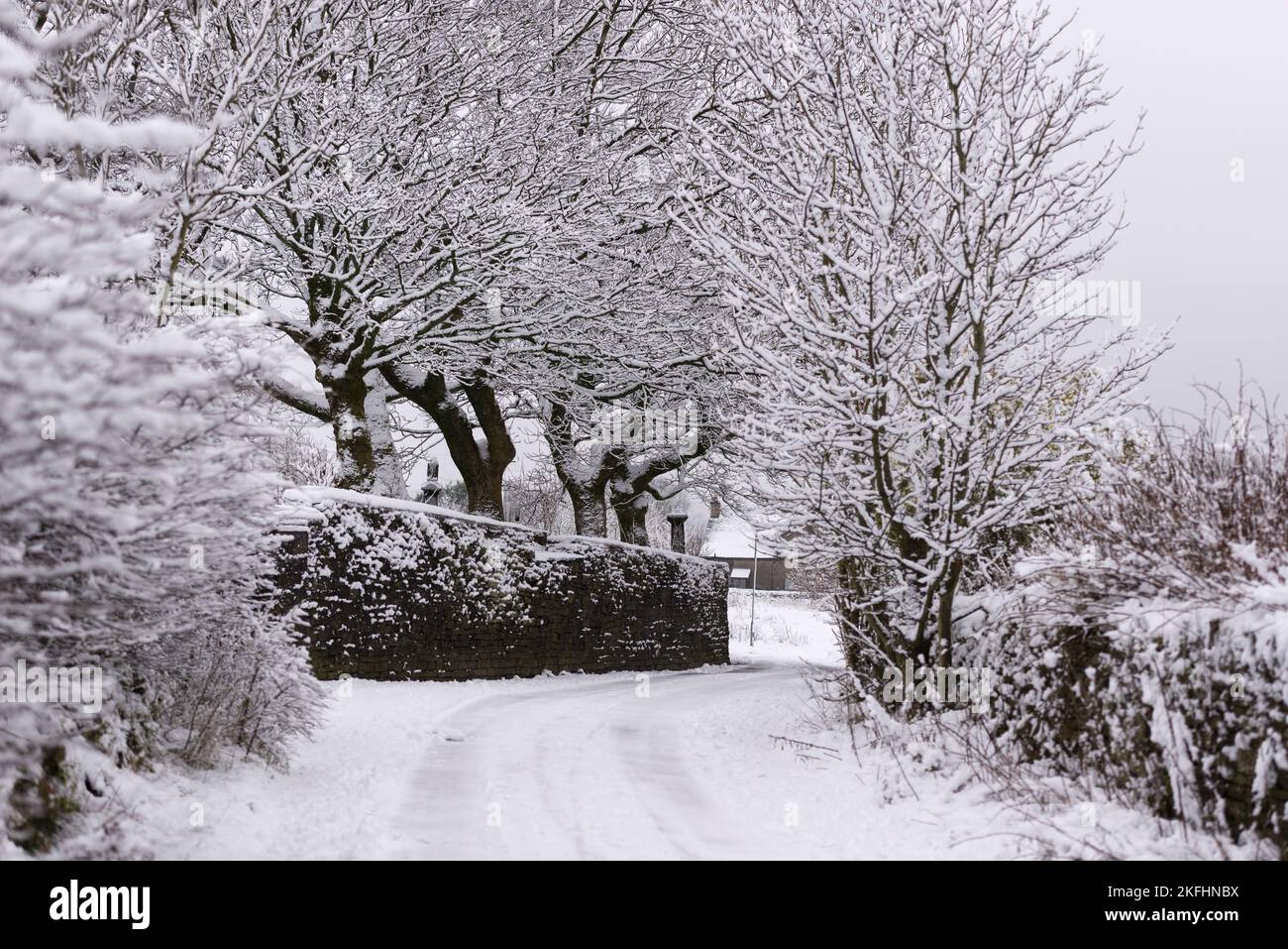 Snow covered Goodshaw Lane, Loveclough, Rossendale Lancashire. Snow clad trees and branches. Icy