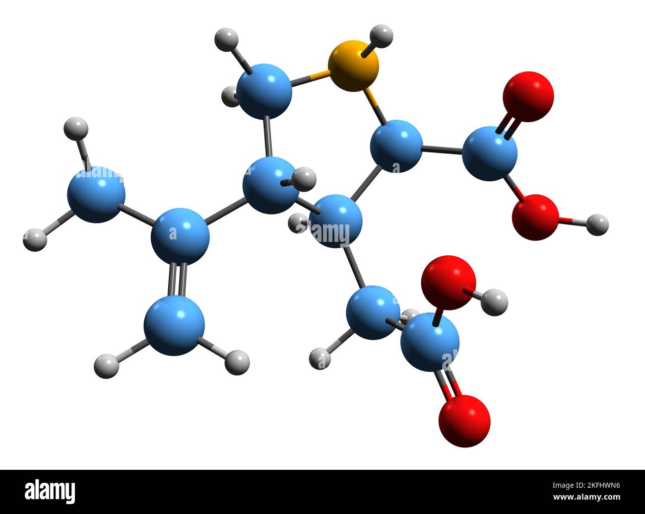 Chondria armata hires stock photography and images Alamy