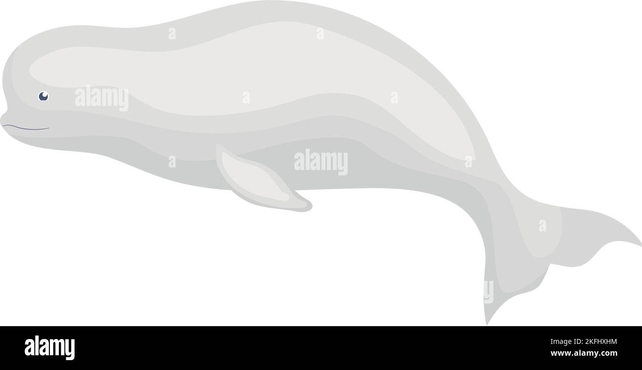 gray beluga icon Stock Vector Image & Art - Alamy