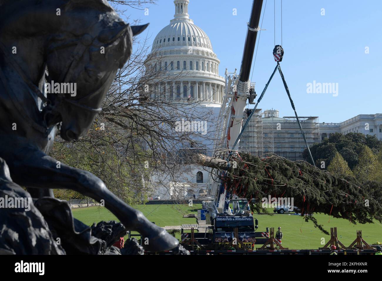US Capitol Christmas Tree truck delivers a Christmas Tree of 78ft name Ruby during its arriving