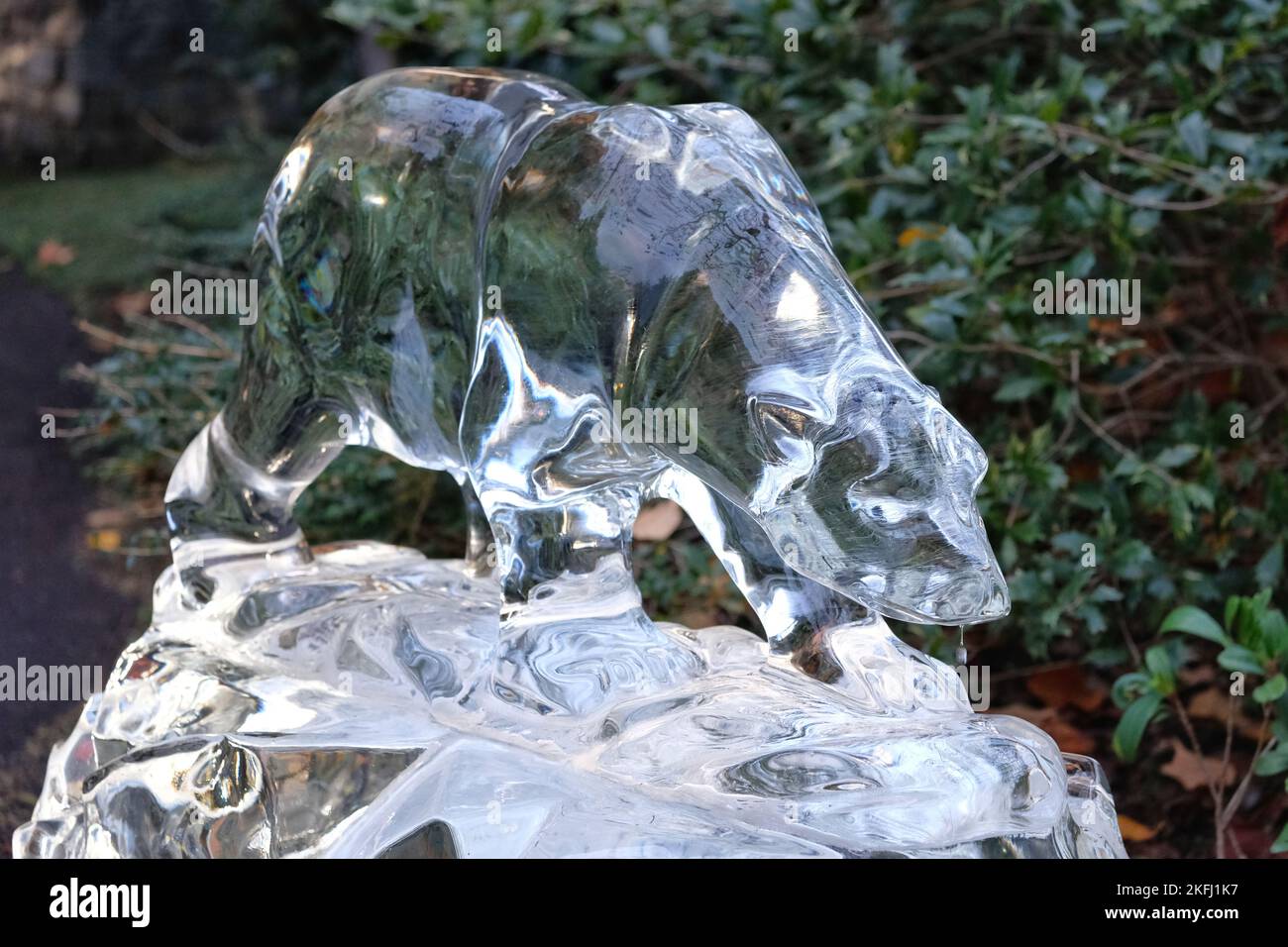 Ice scultpure canary wharf hi-res stock photography and images - Alamy