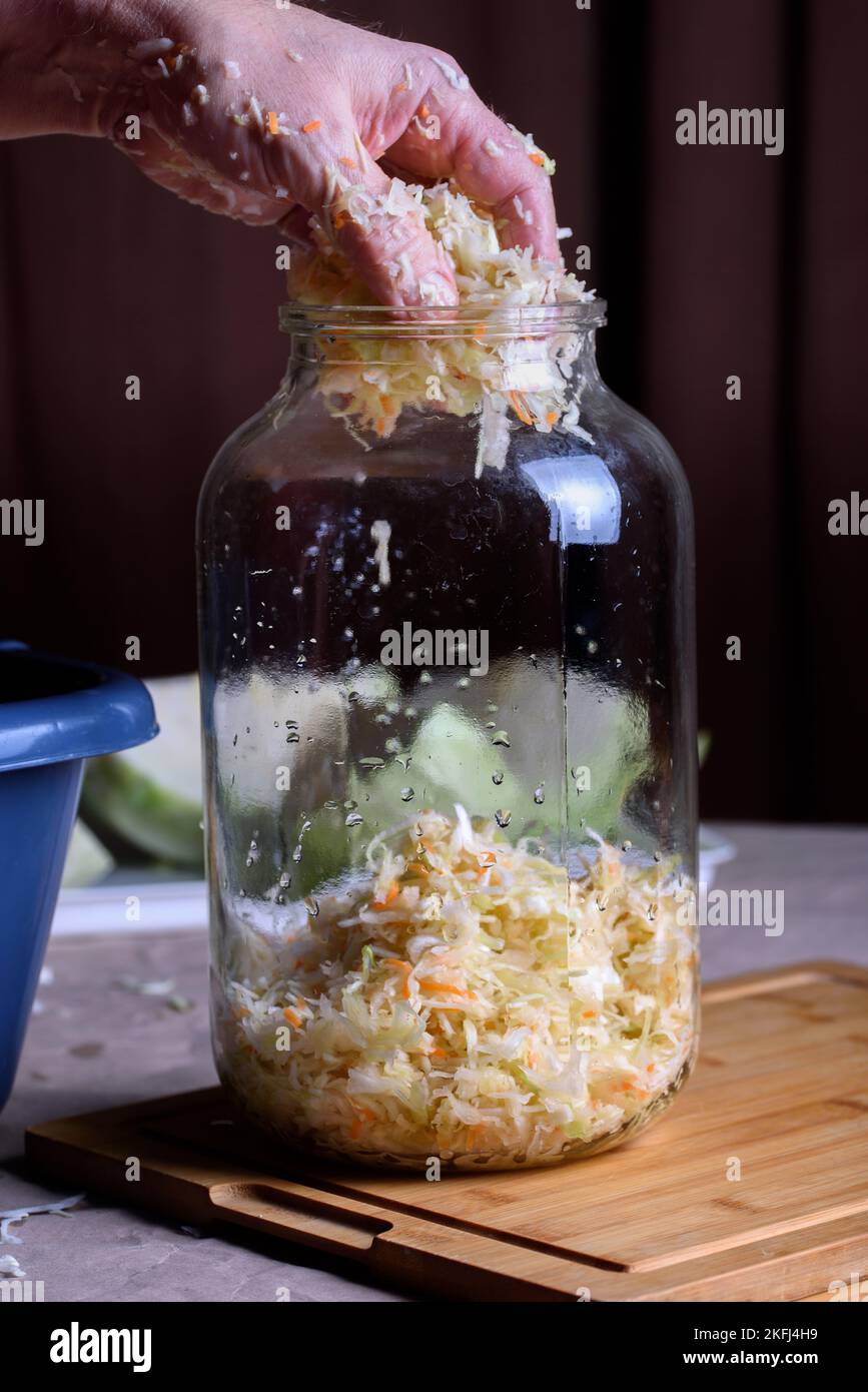 Prepare for fermentation. Finely chopped cabbage is poured from the