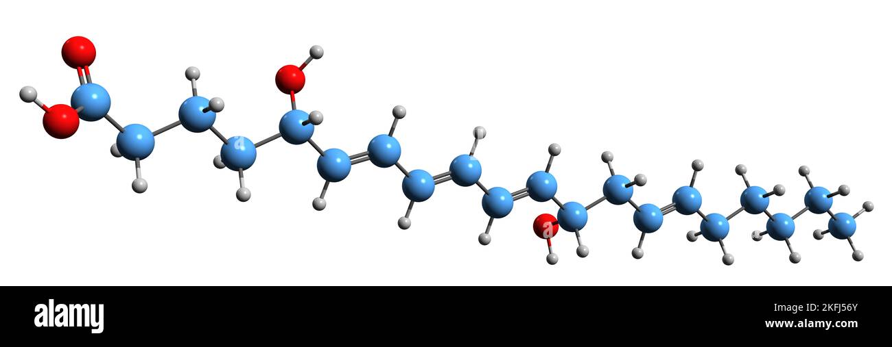 3D image of Leukotriene B4 skeletal formula - molecular chemical ...