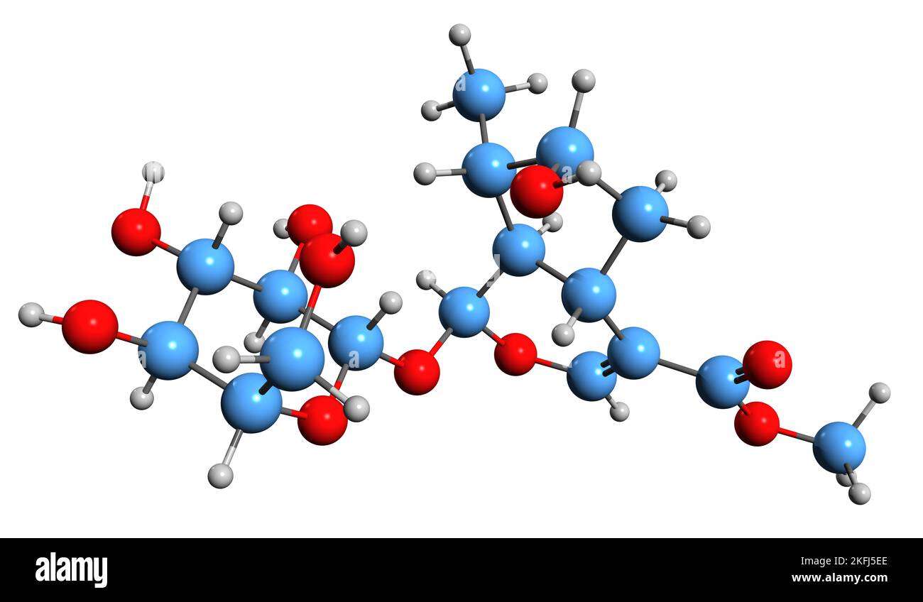 3D image of Loganin skeletal formula - molecular chemical structure of iridoid glycoside Loganoside isolated on white background Stock Photo