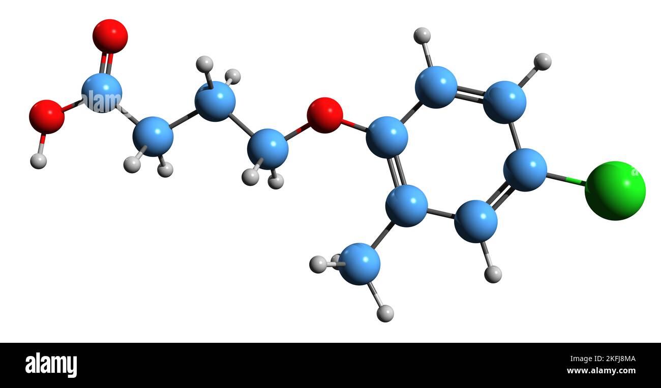 3D image of chloromethylphenoxybutanoic acid skeletal formula - molecular chemical structure of phenoxybutyric herbicide isolated on white background Stock Photo