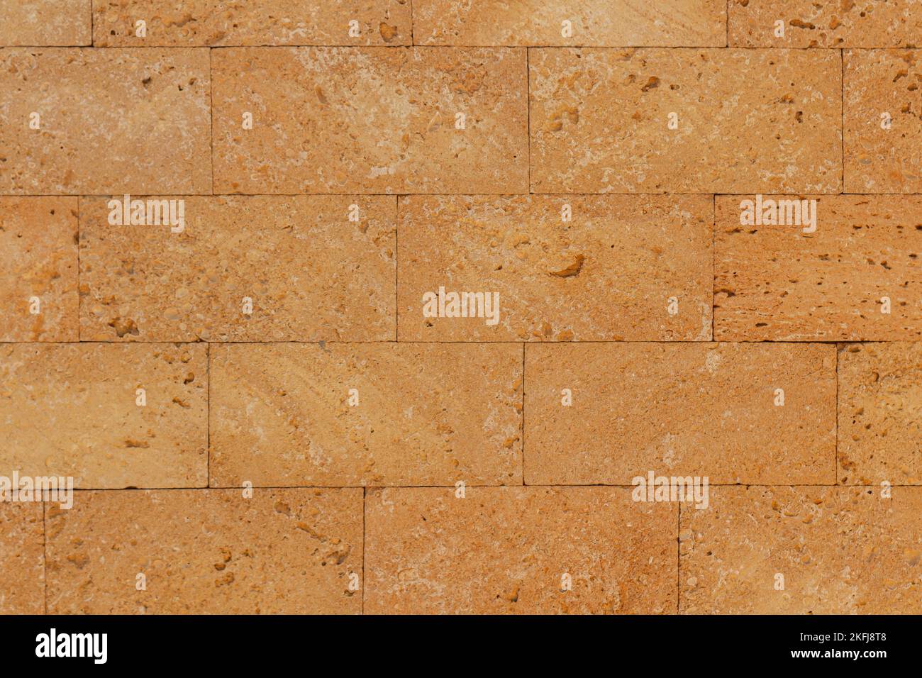 limestone wall texture with seashells. textured background Stock Photo