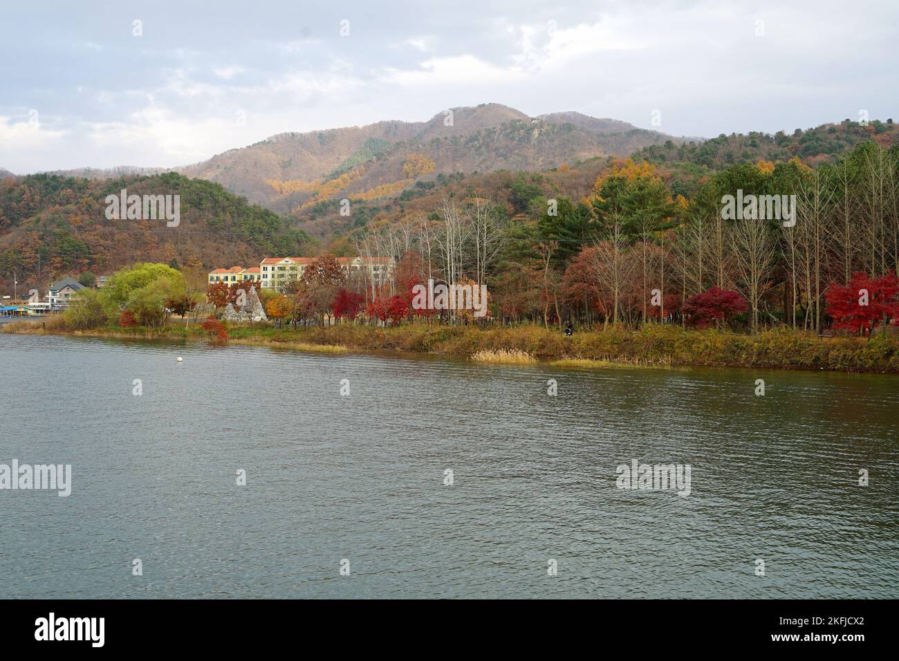 Autumn at Nami Island, South Korea Stock Photo - Alamy