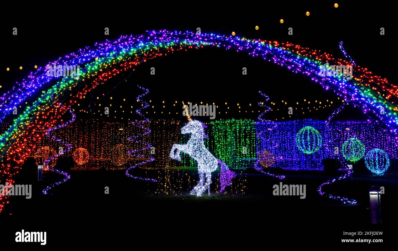 Illuminated unicorn in Rainbow Land - Winter Lights event at the North Carolina Arboretum - Asheville, North Carolina, USA Stock Photo