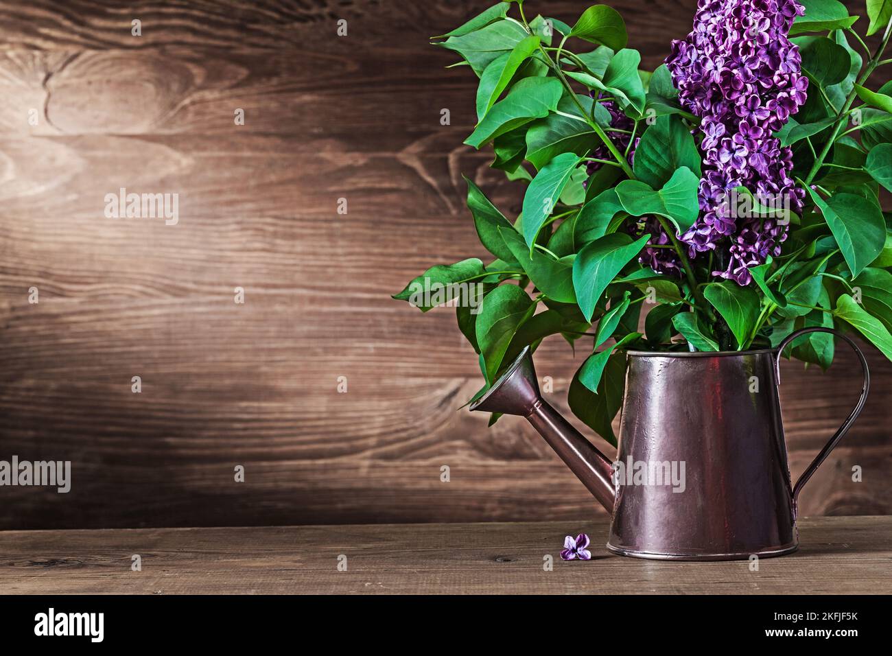 lilac flowers in vintage watering can on wood Stock Photo
