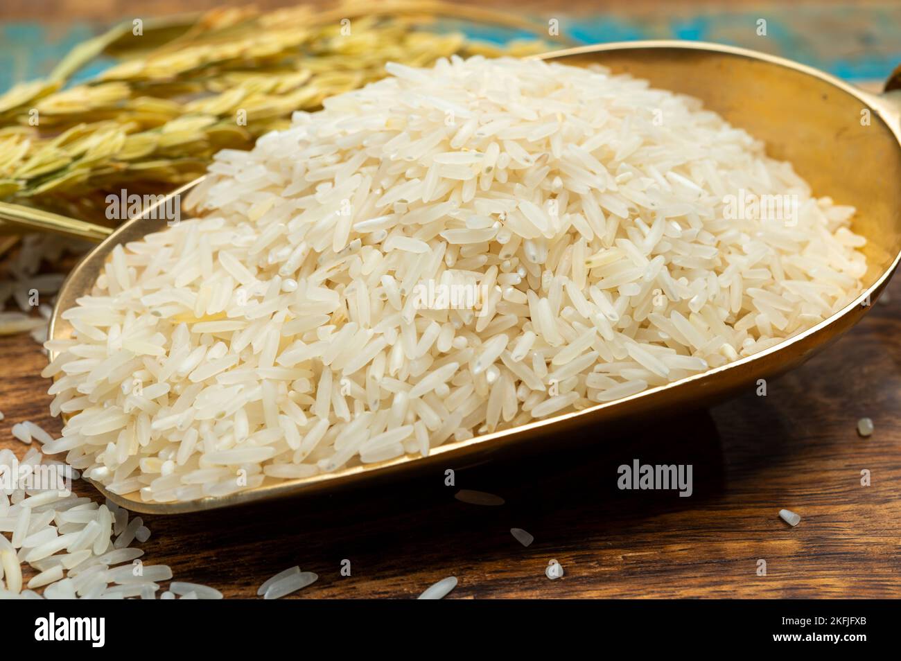 Organic white uncooked rice and dried Indian basmati rice plant