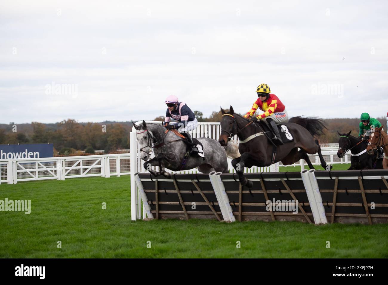 Ascot, Berkshire, UK. 18th November, 2022. Horse Monviel (L) ridden by jockey Tom O'Brien and horse OneMoreForTheRoad ridden by jockey Jack Quinlan (R) clear a jump on the first mile in the Garden for All Seasons Handicap Hurdle Race. Credit: Maureen McLean/Alamy Live News Stock Photo