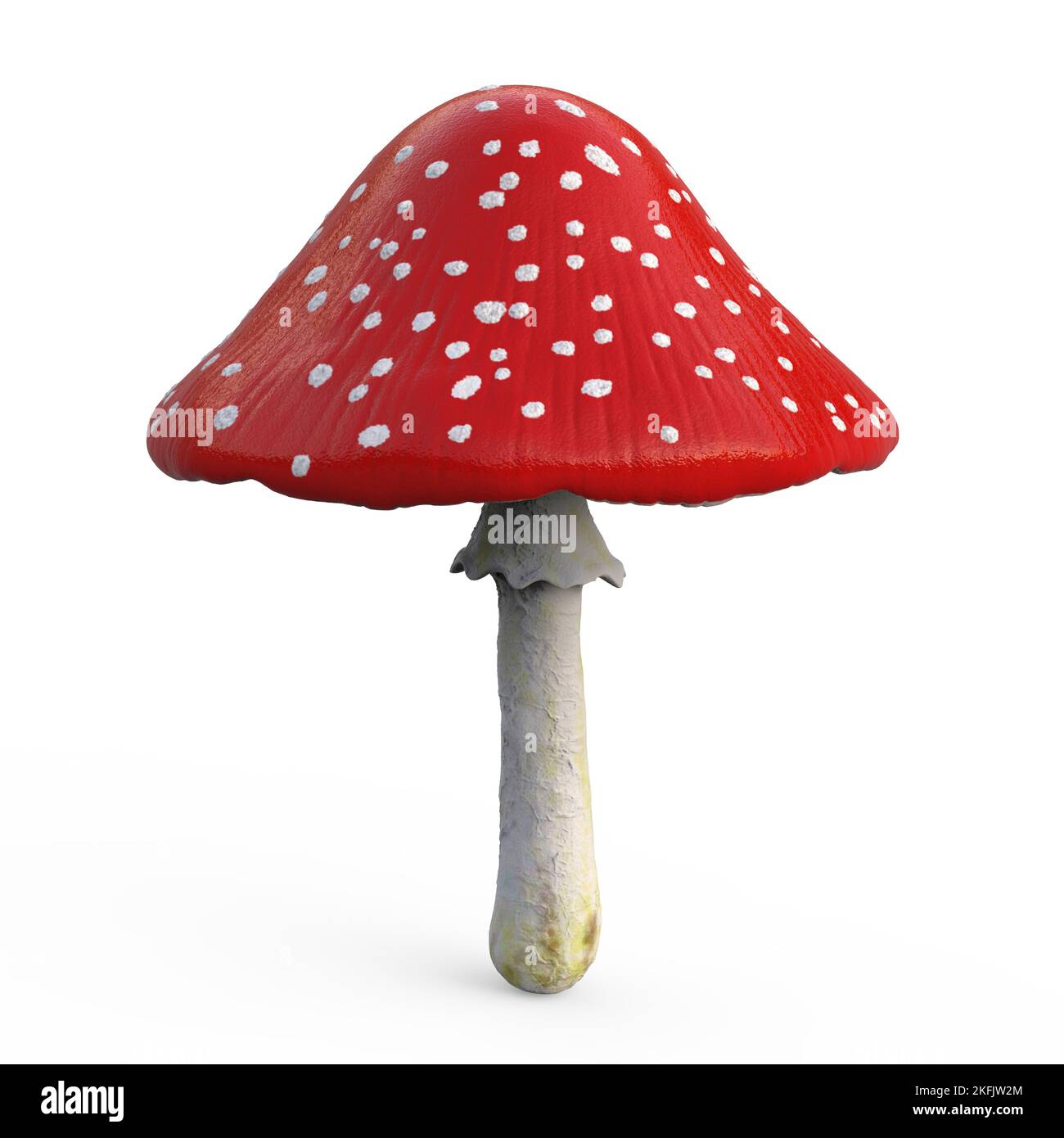 Fly agaric mushroom, illustration Stock Photo