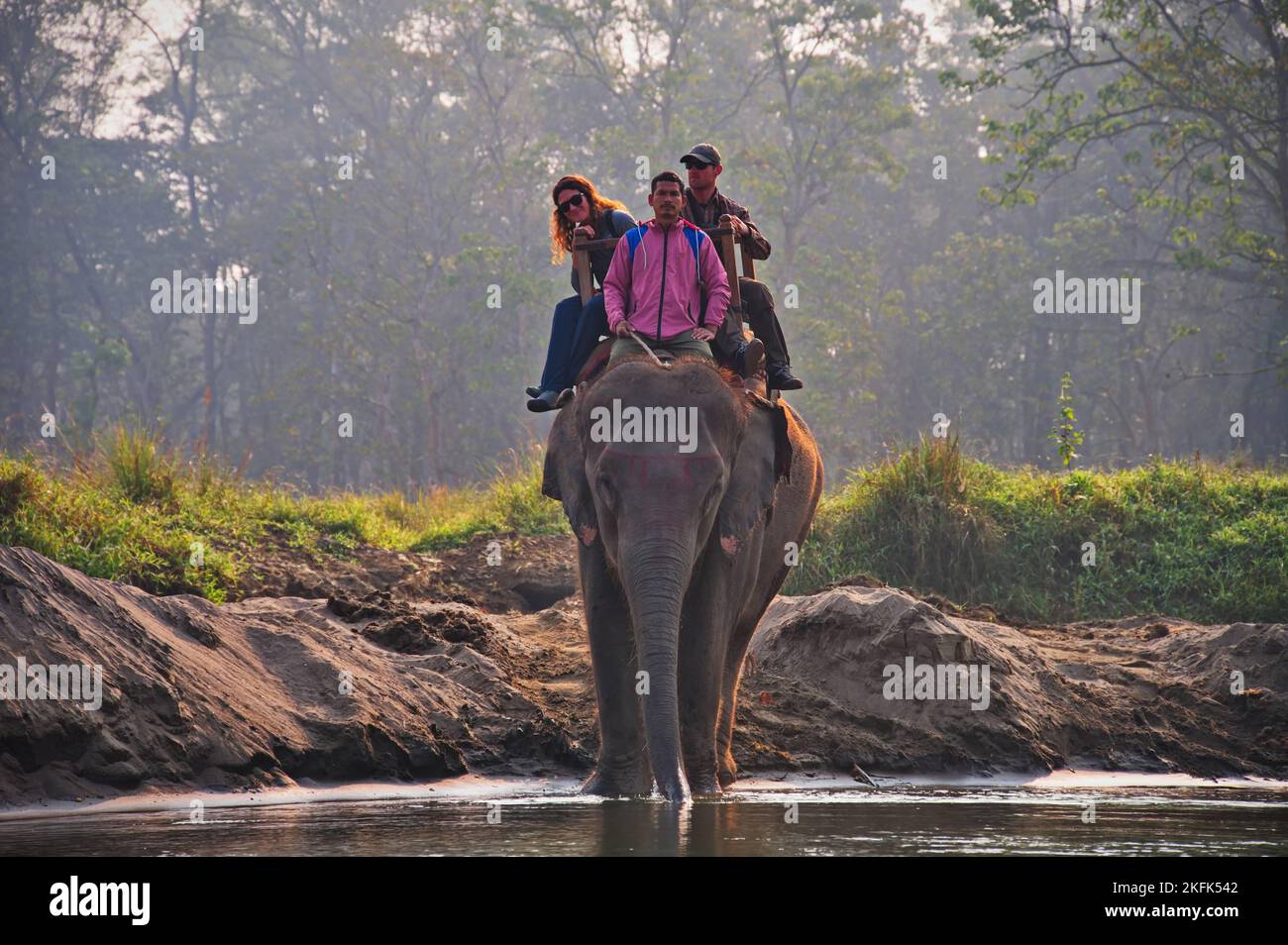 Tourists riding elephant and crossing the river in Chitwan National ...