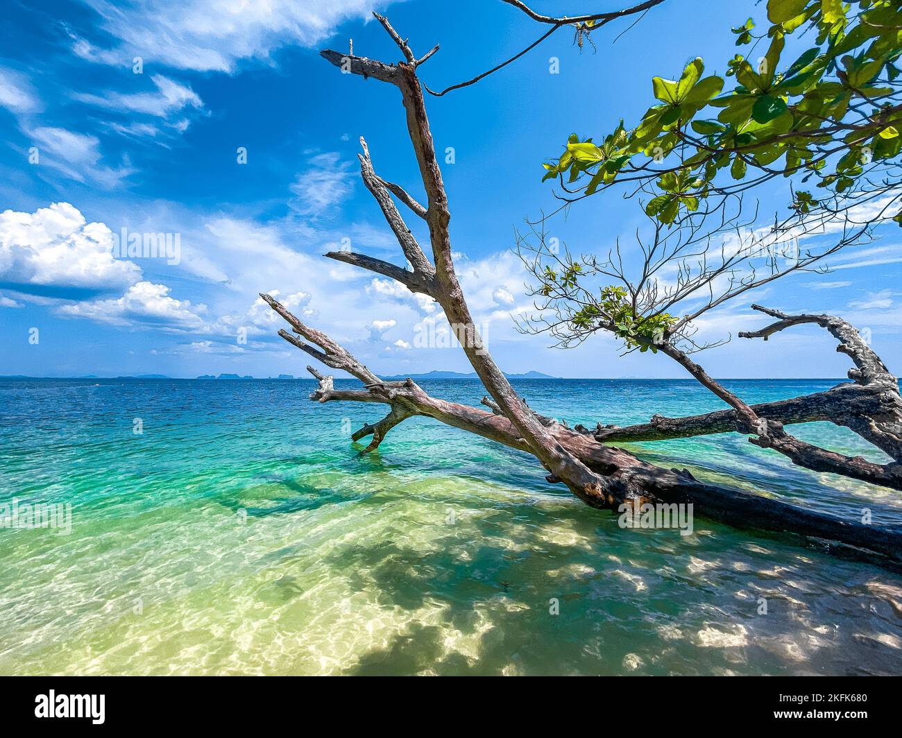Beach view and long tail boat in Koh Kradan island in Trang, Thailand