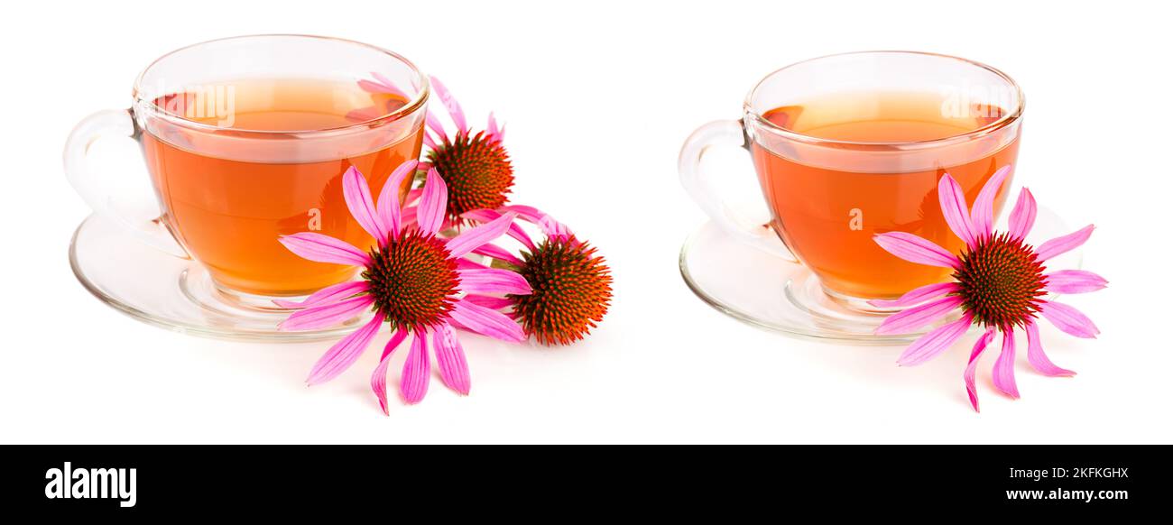 Echinacea tea isolated on white background. Medicinal tea Stock Photo