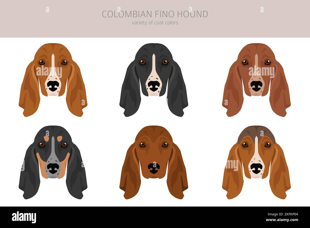 is the colombian fino hound a good breed of dog