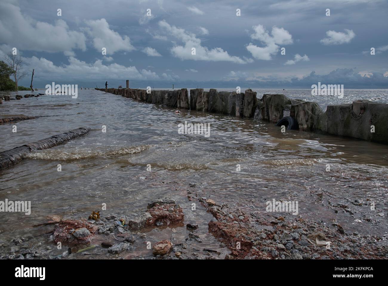 pile in a row of log jetty by the sea Stock Photo - Alamy