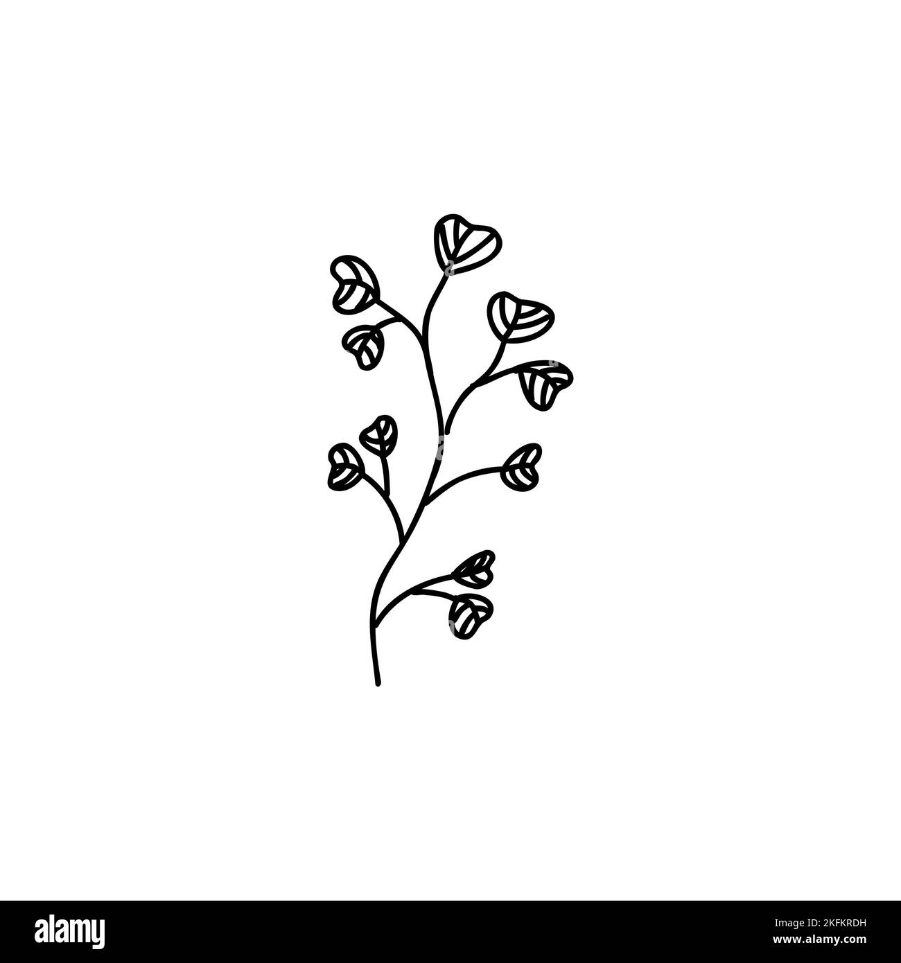 hand-drawn coloring pages and book of artistic, blossom flowers vinca,  engraved ink art, flower tattoo designs vintage noyon tara drawings,  periwinkle home wall decor, periwinkle wall painting 35129104 Vector Art at  Vecteezy