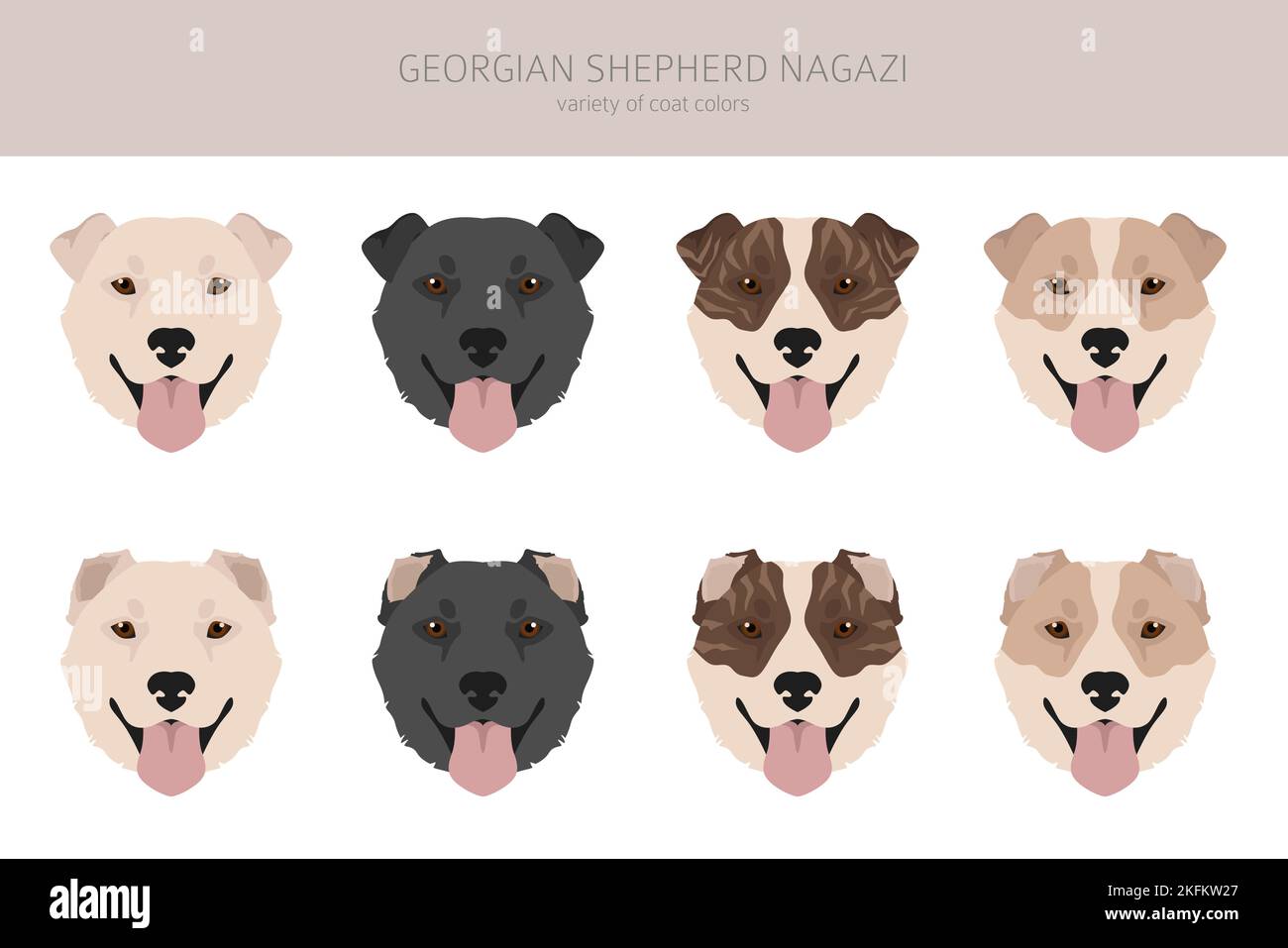 Georgian Shepherd Nagazi clipart. Different coat colors set.  Vector illustration Stock Vector