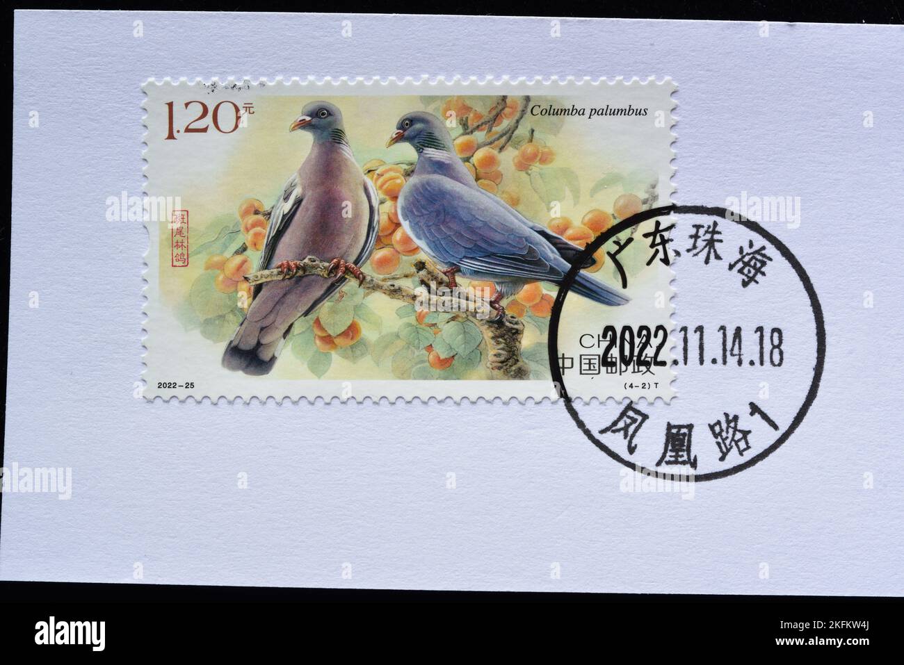 CHINA - CIRCA 2022: A stamps printed in China shows 2022-25 Pigeon  Columba Palumbus  , circa 2022 Stock Photo