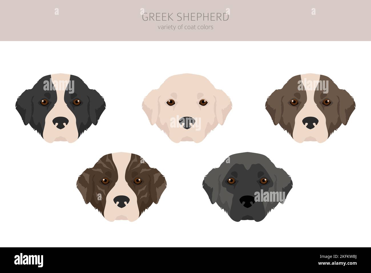 Greek mastiff cheap