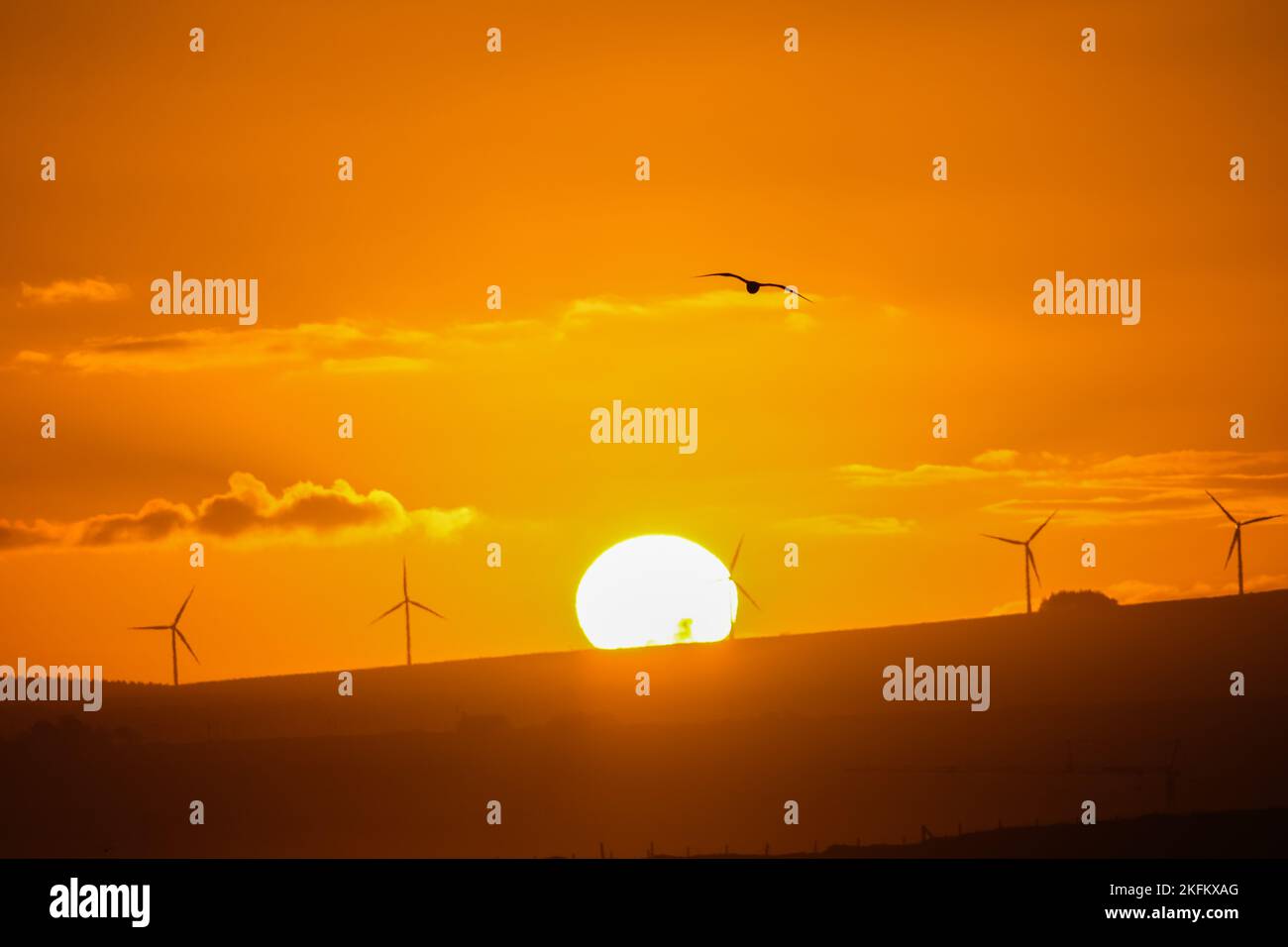 The sun rises behind a group of wind turbines on a hill bringing a ...