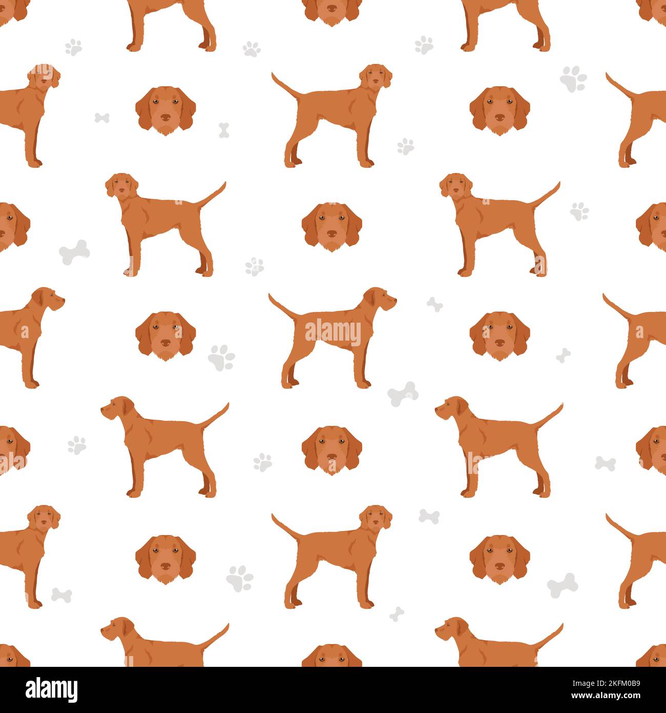 Vizsla wirehaired seamless pattern. Different poses, coat colors set